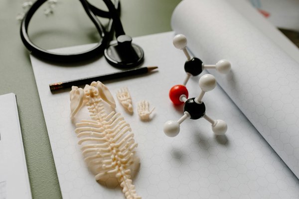 Les secrets des consultations prénatales du troisième trimestre : Tout ce que vous devez savoir